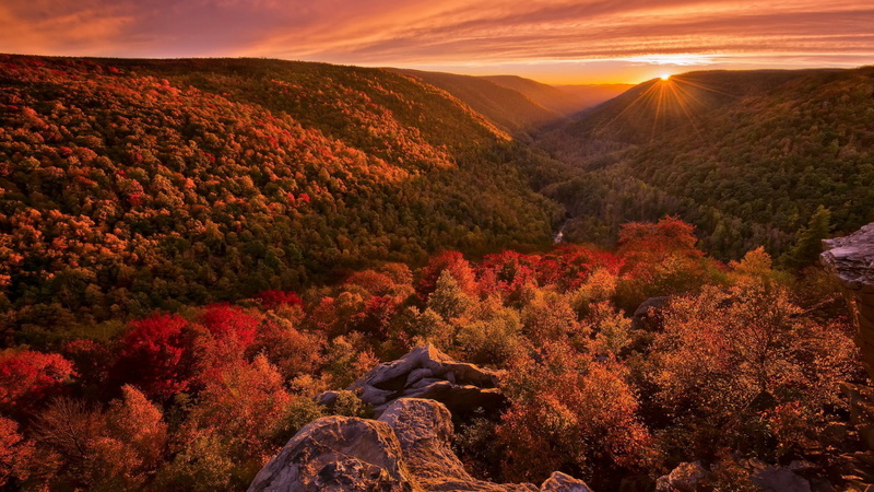 scenics - nature, hill, one person, foliage, mountain, morning, sunrays, sitting, west virginia, blackwater falls state park, tranquility, united states