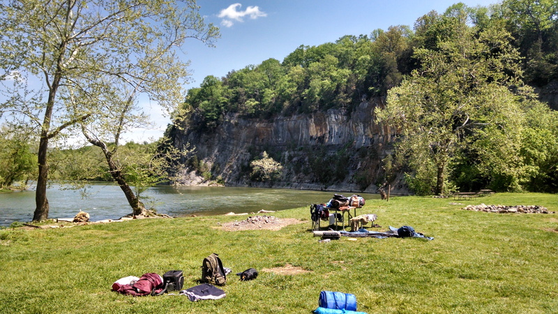green color, outdoors, west virginia, 4K, beauty in nature, non-urban scene, sunlight, group of people, tree, growth, picnik, personal stuff, tranquil scene