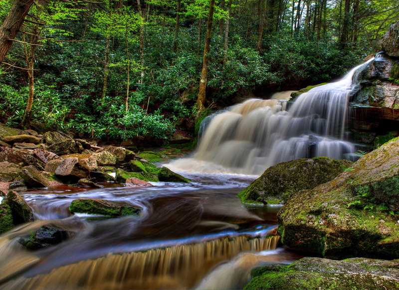 beauty in nature, water, rock, falling water, solid, power in nature, Elakala Falls, rainforest, waterfall, outdoors, no people, long exposure, scenics - nature