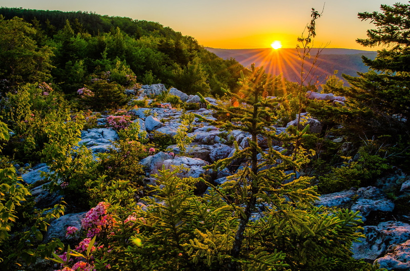 Dolly Sods Wilderness, West Virginia, sunset, Eleganckie mountains, Allegheny Mountains, 1080P, plateau, Allegan, Monongahela National Forest, National