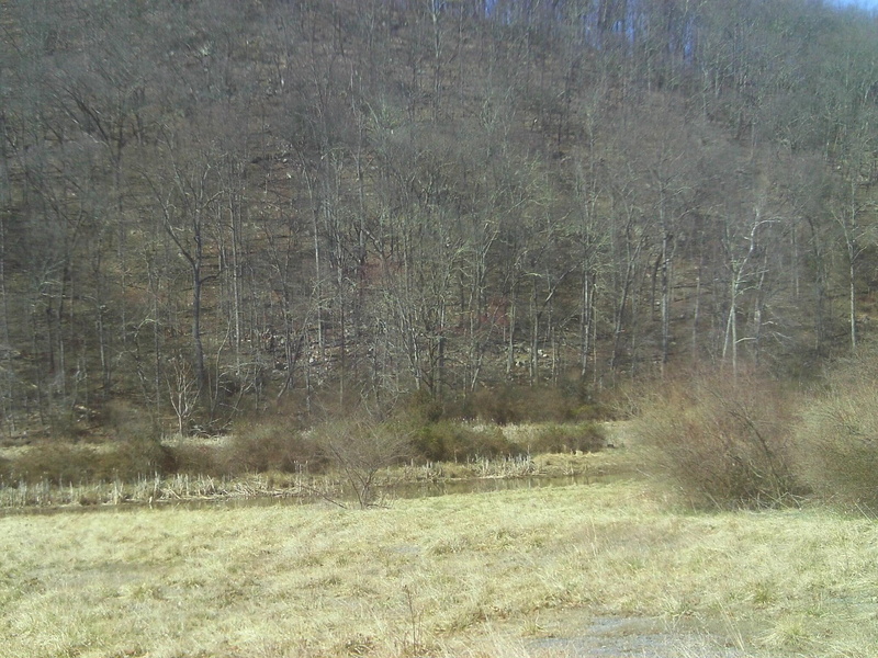 grass, walk, west virginia, trees, 1080P, redneck, creek, 3d and abstract, rocks, bush