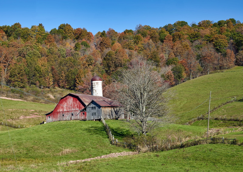 meadow, land, west virginia, agricultural building, nature, colorful, tree, farm, architecture, fall, house, hills, landscape, environment, scenics - nature