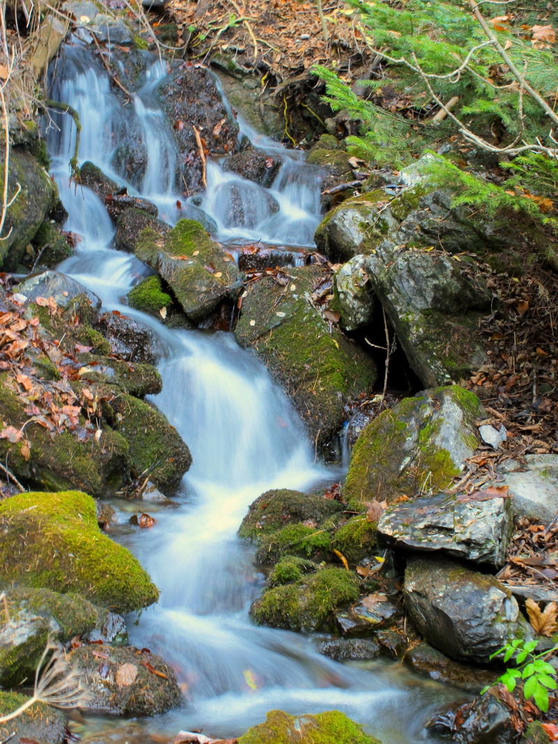 green, creek, Nature, green Color, tree, Landscape, solid, stream, stone - Object, blurred Motion, scenics - nature, rock - Object, stream - flowing water