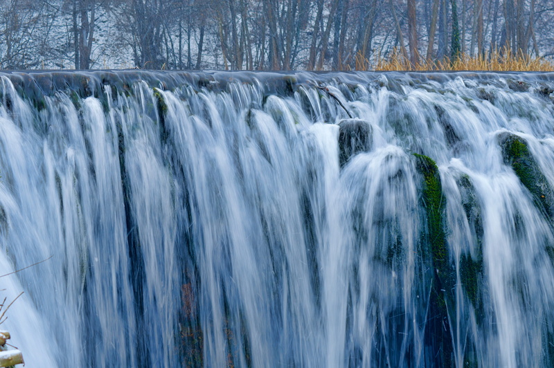 forest, tree, wintertime, land, creek, beauty in nature, scenic, stream, environment, december, fall, christmas, outdoors, natural, blurred motion, beauty