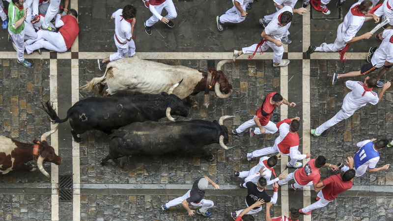 large group of people, pets, vertebrate, group of animals, sanferminfestival, women, crowd, animal wildlife, bucketlist, city, festival of san fermin, running of the bulls