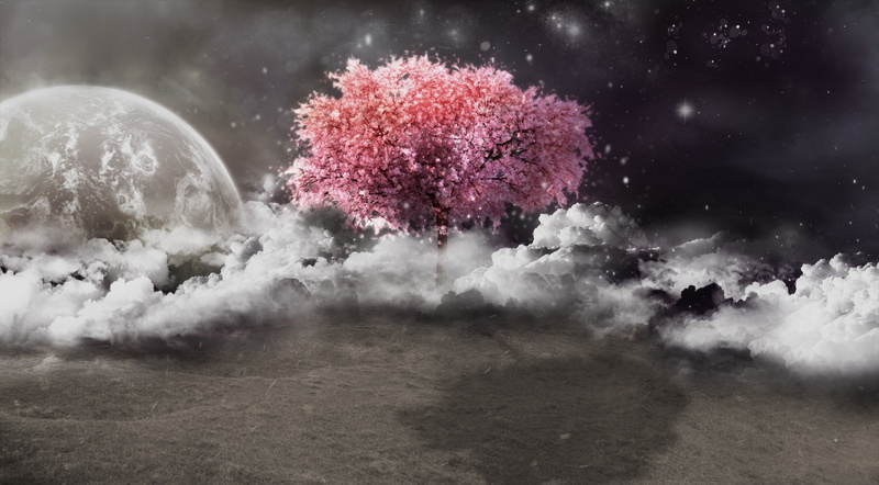 pink color, red, Creative, nature, motion, environment, smoke - physical structure, Aero, trees, 2K, tranquility, sky, outdoors, plant, moon, black and white