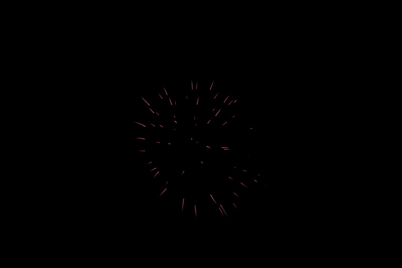 dark, new year, blurred motion, long exposure, spiky, firework, black background, low angle view, sky, nature, celebration, pink, night, indoors, burst