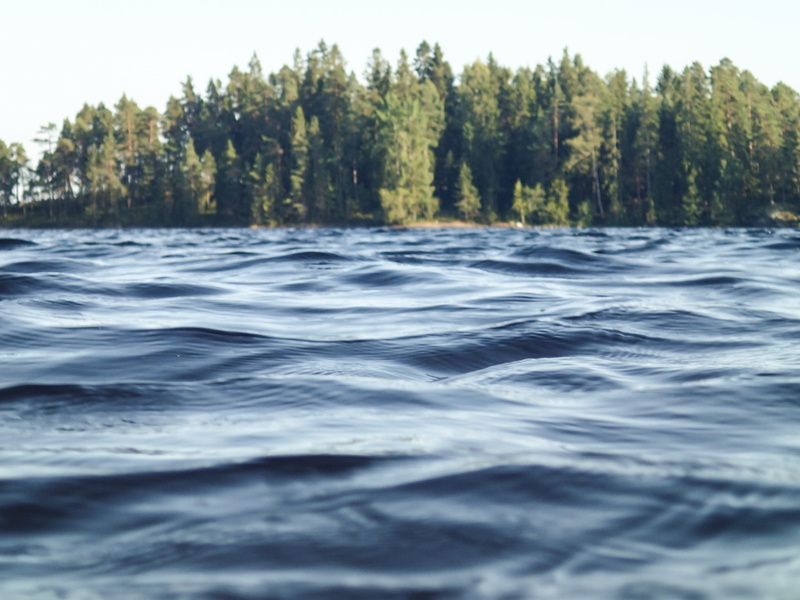 sky, tranquility, forest, island, choppy, pond, no people, tree, leaf, trees, surface level, river, surrounded, flowing water, scenics - nature, nature