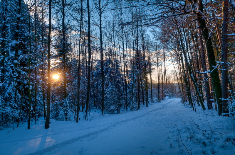 Park, 2K, track, trees, winter, the sun, traces, forest, the evening, rays, sunset, snow, path