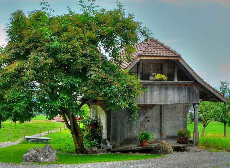 colorful, 3d and abstrac, splendor, cottage, 1080P, hdr, beautiful, nature, tree, house, garret, colors, green