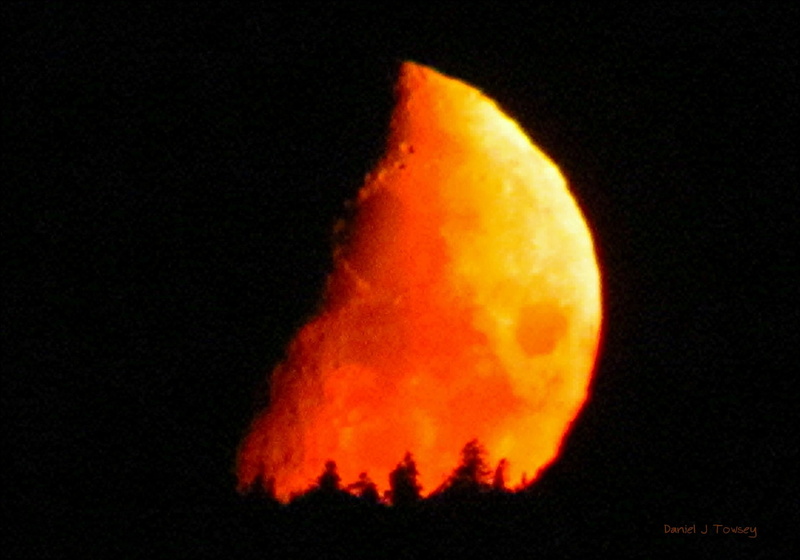 1080P, the visionary folk photographer, glow moon set, folk photographer, moon, moon over the forest, 3d and abstrac, forest