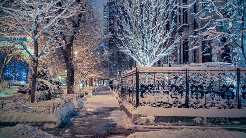 cold temperature, nature, bare tree, architecture, united states, street, building exterior, city, outdoors, no people, chicago, ilinois, snow, day, snowing