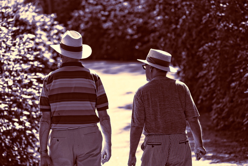 focus on foreground, tree, plant, outdoors, two, clothing, two men, adult, lifestyles, people, person, three quarter length, rear view, two people, walking