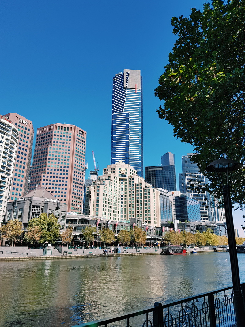 architecture, modern, water, tower, plant, waterfront, princes bridge, tall - high, outdoors, built structure, building exterior, skyscraper, nature, australia