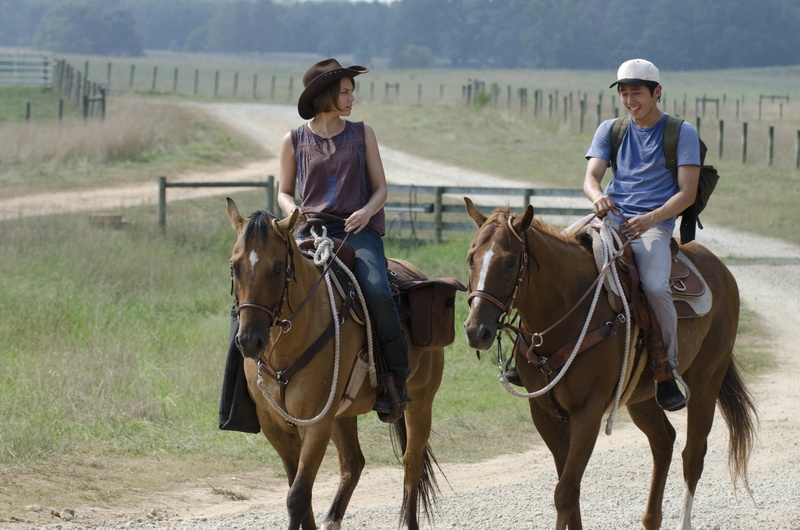 animal themes, Maggie Greene, herbivorous, domestic animals, two animals, mammal, teenager, horse, Lauren Cohan, 1080P, activity, animal wildlife, land