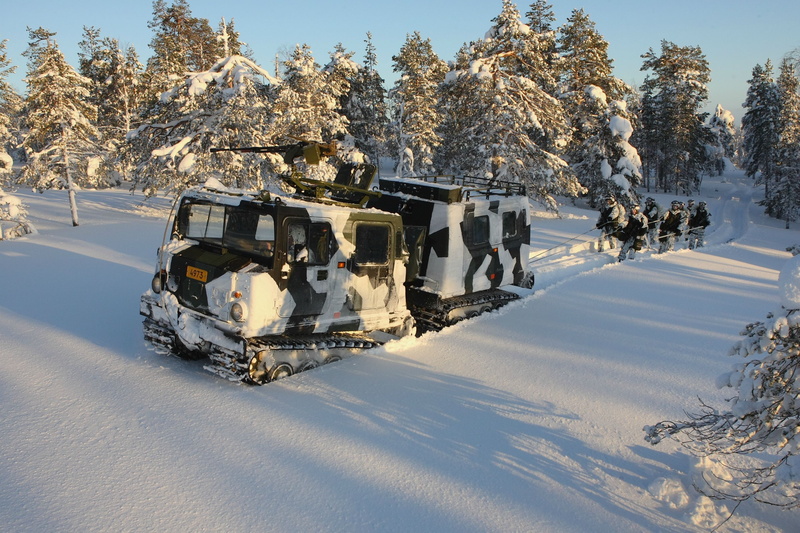 winter, snow, Hägglunds BV206, 2K, Swedish Army