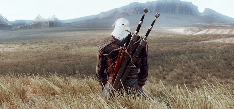 The Witcher (TV Series), PC gaming, Geralt of Rivia, digital, 8K, grass, The Witcher, video games, sword