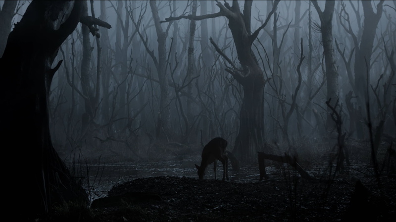 1080P, nature, The Witcher (TV Series)