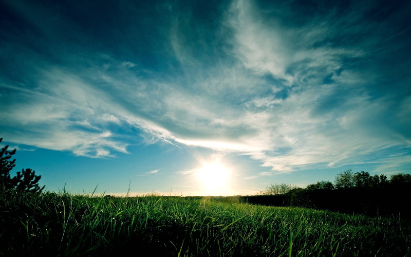 field, grass, clouds, light, patterns, 2K, sky, from below, ease, sun