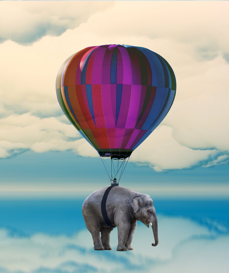 one animal, domestic animals, no people, outdoors, sunset, mammal, captive balloon, 2K, digital composite, weightless, nature, sky, hot air balloon, beauty in nature