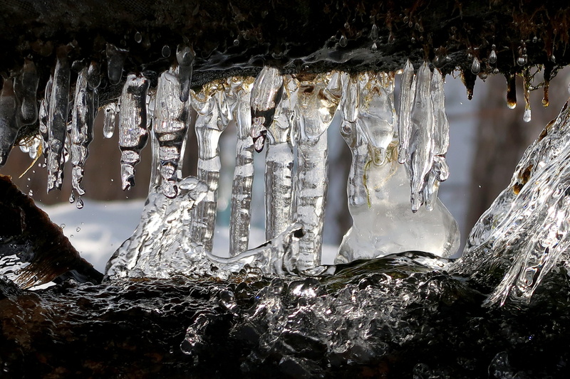 icicle, ice, drops, small river, environment, outdoors, 2K, tranquility, frozen, snow, detail, coldly, winter, ice crystal, close-up, frozen water, nature