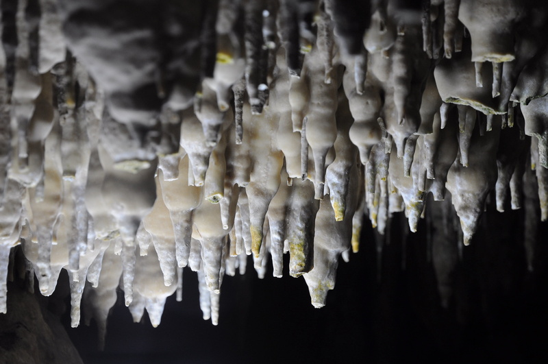 day, Rock, beauty in nature, 4K, indoors, frozen, Cave, selective focus, stalactite, large group of objects, crystal, icicle, trang, thailand, Adventure
