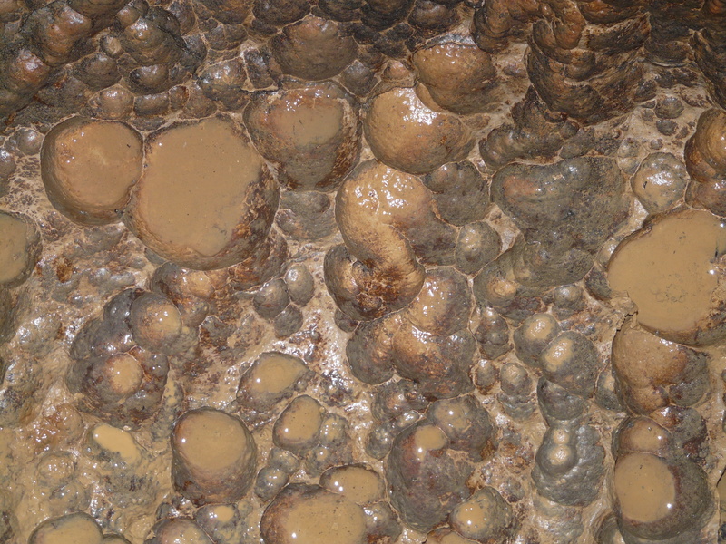 close-up, day, abstract, material, no people, Floor, large group of objects, pebble, animal wildlife, pattern, rock, full frame, nature, backgrounds, erosion