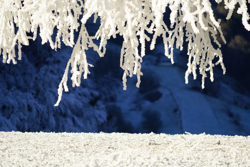 environment, hoarfrost, cold, snow, 8K, cold temperature, frozen, melting, outdoors, nature, branches, glacial, land, no people, winter, blue, white color