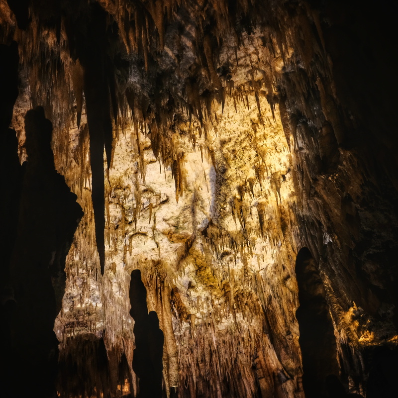 modern art, geology, 4K, cave, textured, apparel, outdoors, wilderness, rock, mammal, illuminated, herd, real people, low angle view, rubble, natural pattern