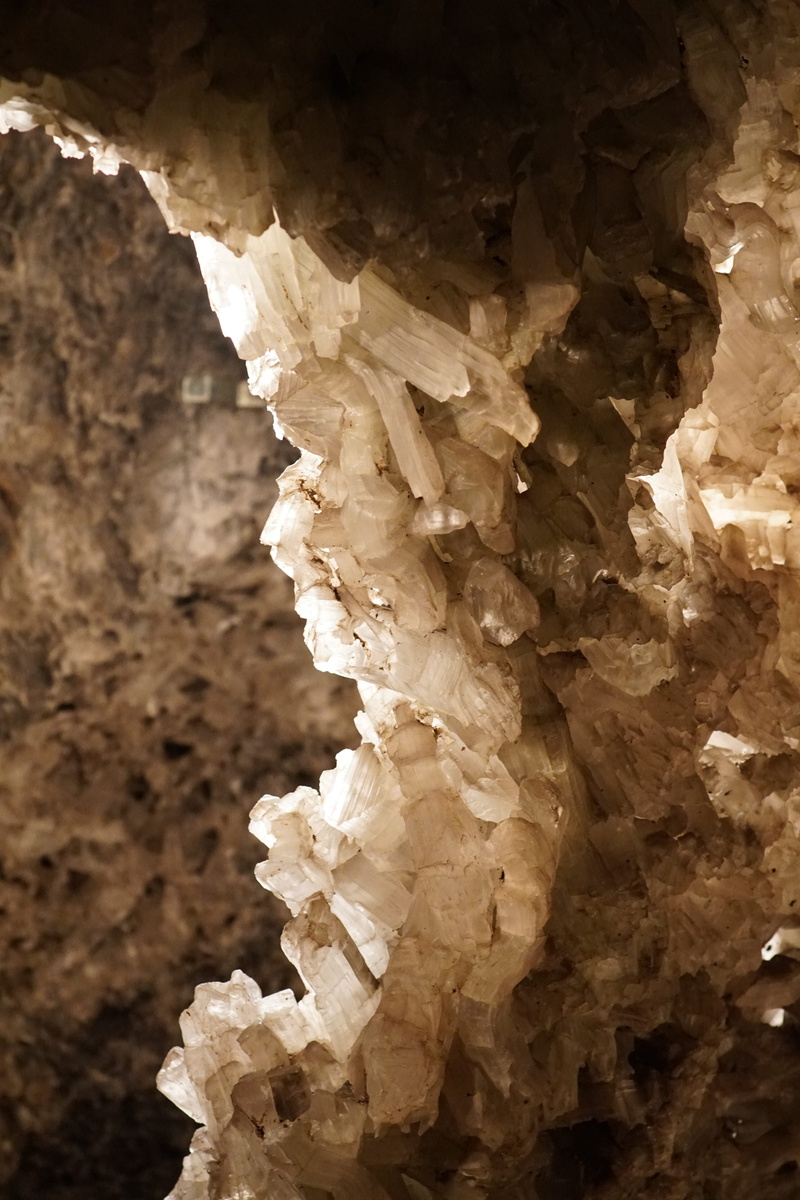 fungus, focus on foreground, tranquility, pattern, food, mystical, nature, plant, close-up, rough, cave, vegetable, 5K, land, growth, mineral, marie glass