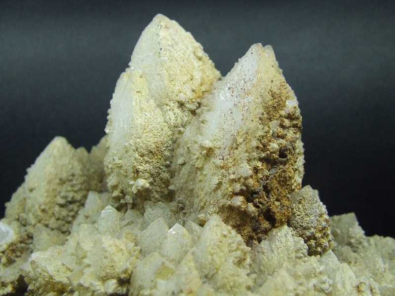 animal wildlife, undersea, crystal, nature, indoors, selective focus, 2K, bányavirág, focus on foreground, textured, geology, mineral, animals in the wild