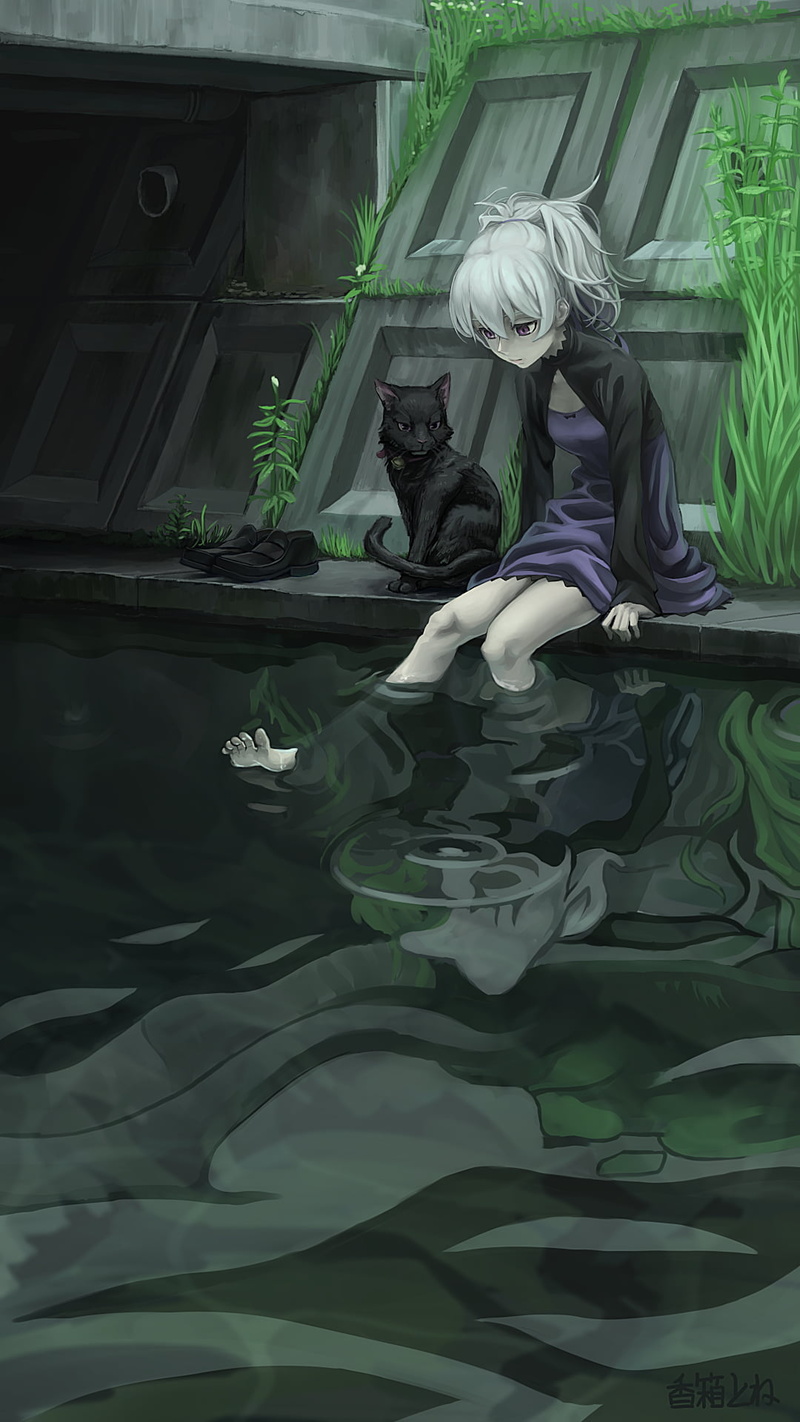 violet dress, black cats, Yin, 1080P, violet eyes, Darker than Black, anime girls, grey hair