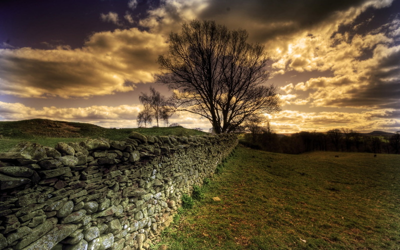 720P, europe, sunset, protection, tree, stone Material, plant, tranquil Scene, stones, meadow, hill, stone Wall, cumbria, clouds, summer, environment