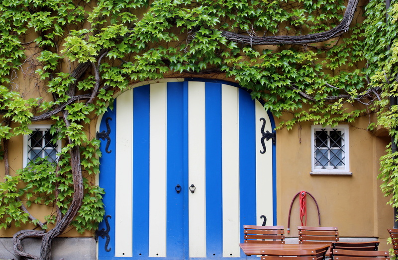 fuggerei, building, built structure, wall - building feature, historic center, tree, blue, green color, outdoors, plant part, monument, bavaria, house