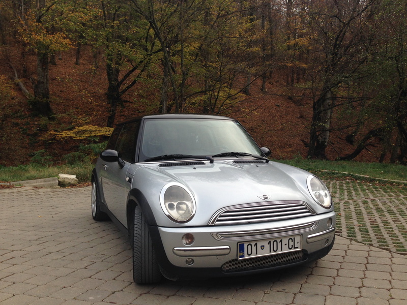 land vehicle, forest, motor vehicle, vintage car, nature, tree, kosovo, silver colored, retro styled, headlight, luxury, stationary, plant, transportation