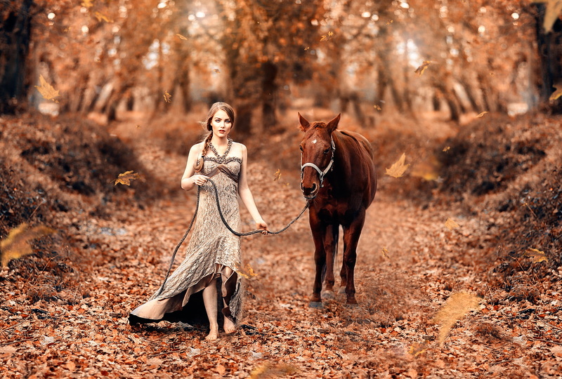mammal, young adult, horse, Fairy tale, forest, full length, Alessandro Di Cicco, land, leaves, domestic animals, outdoors, fashion, adult, women, hairstyle