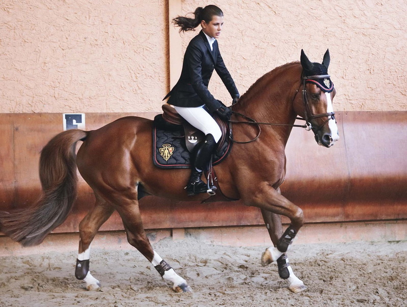 girls, horses, ride, art, casiraghi, charlotte, 720P, hd, monaco, animals, x