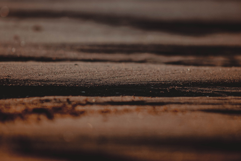 bokeh, minimalist, rough, day, flora, horizon, dirt road, pattern, still life, outdoors, road, close-up, macro, wood grain, france, backgrounds, selective focus