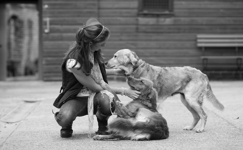 child, females, photography, mammal, one animal, Black and White, grayscale, girls, domestic, real people, outdoors, innocence, retrievers, domestic animals