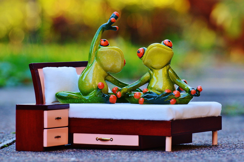 love, funny, green color, art and craft, 4K, animal, no people, couch, valentines day, rest, ceramic, green, vegetable, healthy eating, decoration, cute