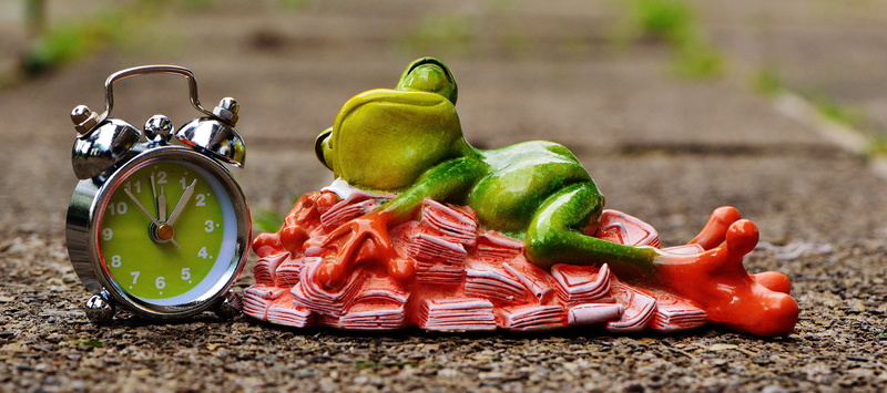 food, alarm, spice, vegetable, bell pepper, bunch of money, pepper, near, green color, freshness, choice, gray, day, multi colored, animal representation