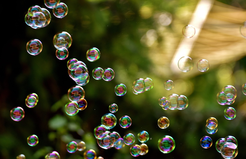 close-up, mirroring, focus, plant, photo, no people, multi colored, bubble, transparent, make soap bubbles, motion, shiny, mid-air, soapy water, bubble wand