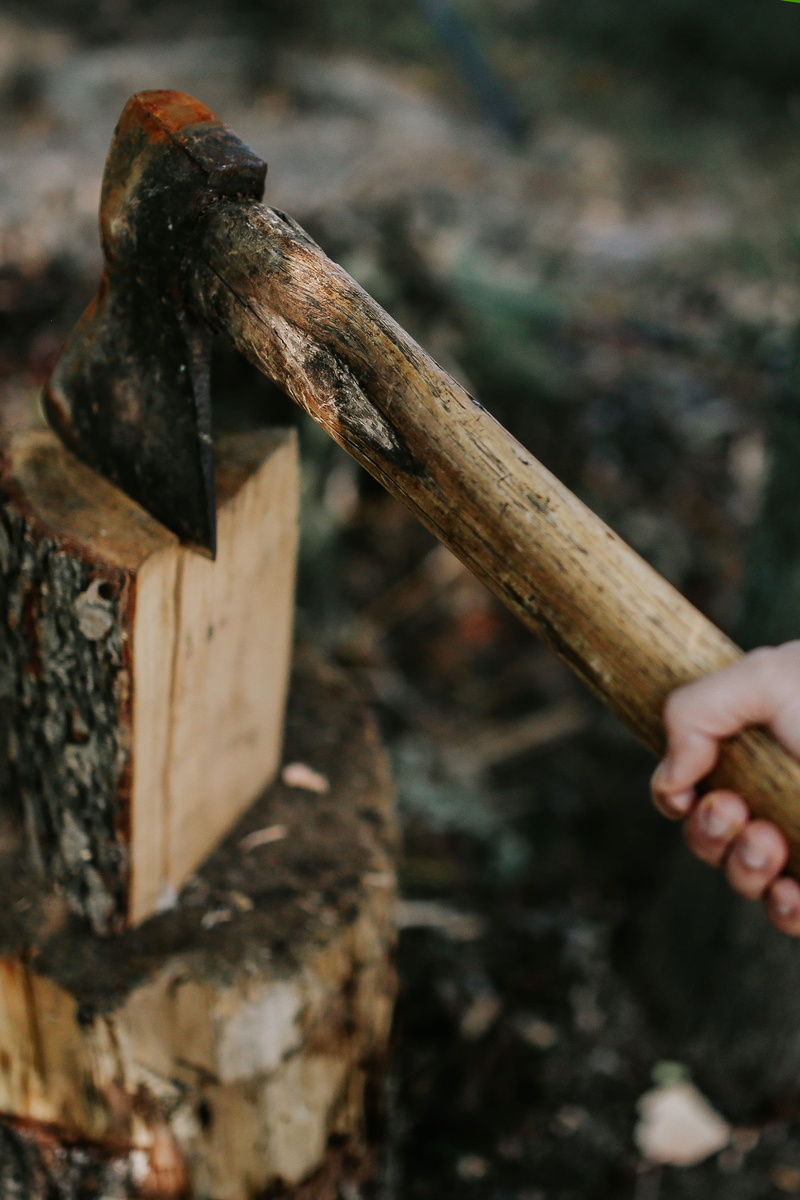 no people, timber, wood, tree, metal, textured, lumberjack, hatchet, land, equipment, log, wood - Material, working, nature, hammer, focus on foreground