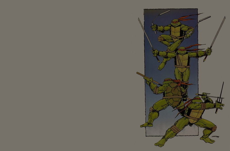 720P, Teenage Mutant Ninja Turtles