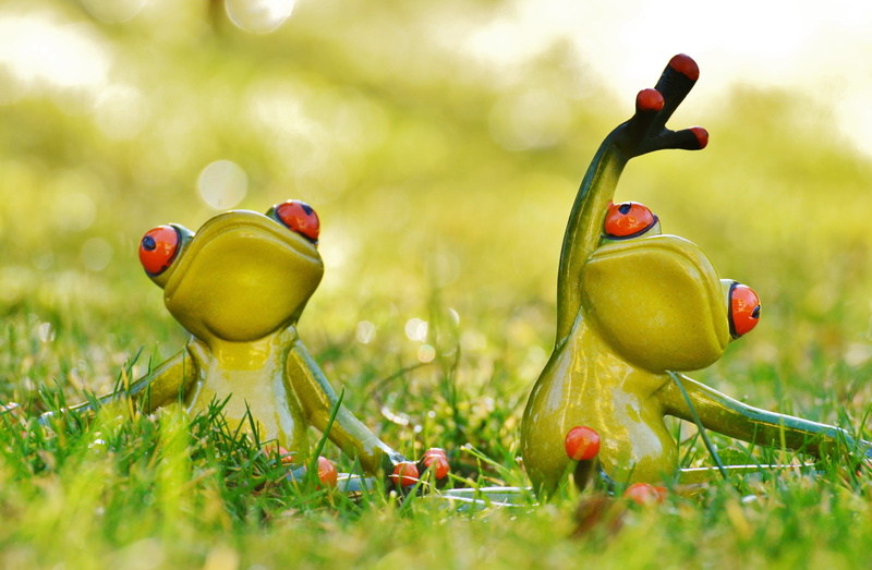 two, green, ceramic, funny, field, healthy eating, fruit, focus, nature, wellbeing, cute, outdoors, fun, land, no people, plant, food, shot, food and drink