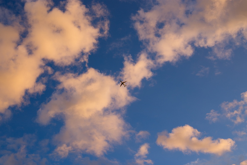 air vehicle, animal, nature, day, aviation, vacation, cloud - sky, view, wanderlust, directly below, cloudscape, 5K, animal themes, high, mid-air, plane