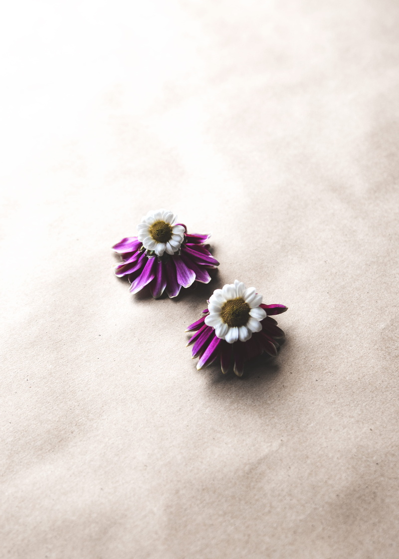 vulnerability, earring, blossom, cool, valentines, 4K, simplicity, fragility, plant, amazing, indoors, pin, pearl, flower, flowering plant, beautiful