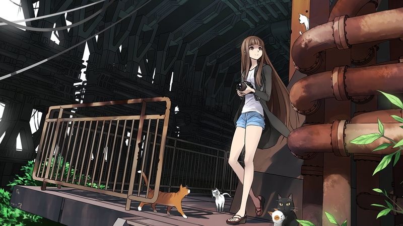 full length, adult, real people, girl, anime girls, cat, architecture, women, casual clothing, beside, lifestyles, short shorts, cardigan, day, clothing