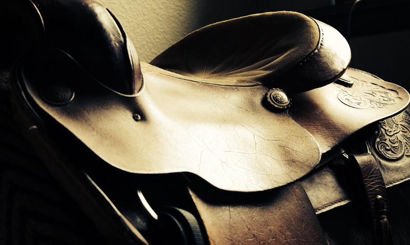 equine, fashion, representation, musical instrument, Horse, glasses, ranch, seat, Saddle, music, high angle view, cowboy, still life, equestrian, indoors