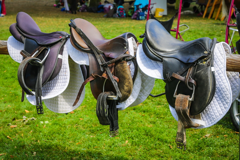 grass, plant, shoe, park - man made space, green color, absence, day, animal, horse, personal accessory, dressage, reiter, saddle, clothing, western, nature